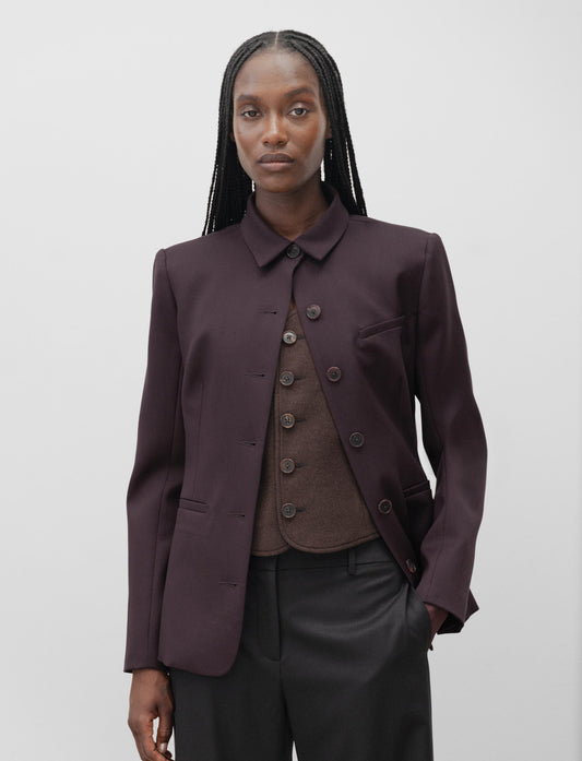 The Button Up Blazer in Fig